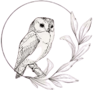 Soul Barns Logo